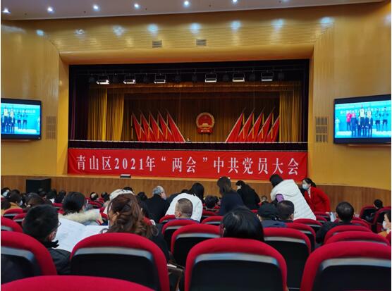 武汉市青山区第十六届人民代表大会第一次会议顺利召开